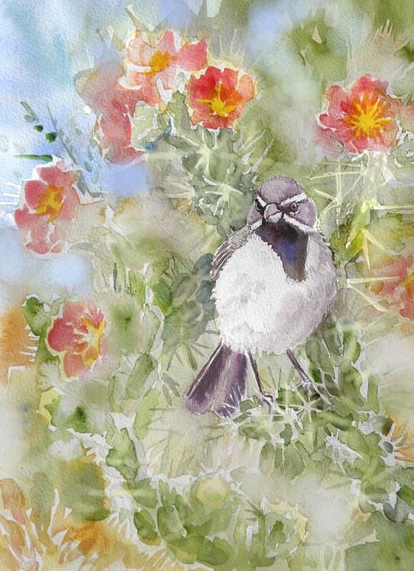 Bruant à gorge noire