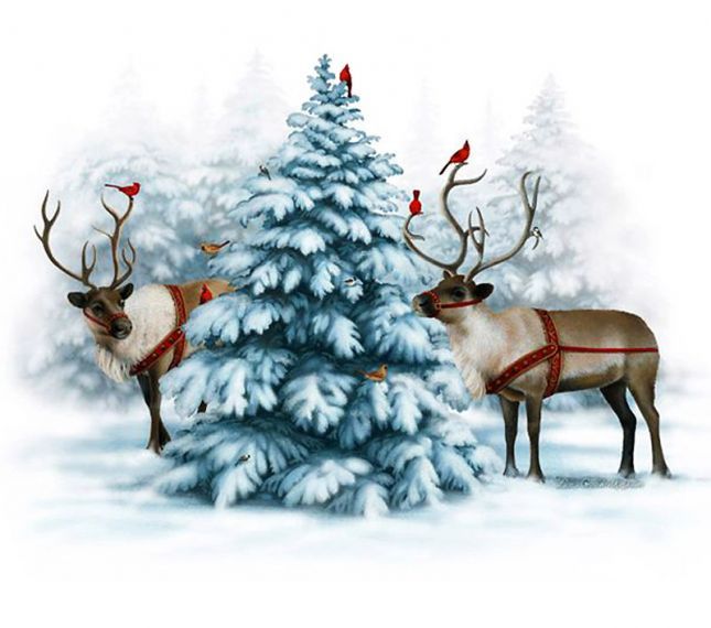 0_10b04c_61de069_orig