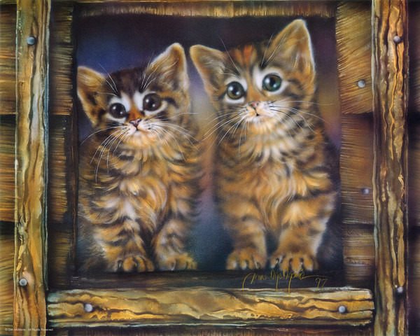 Kittens in window by Dan McManis
