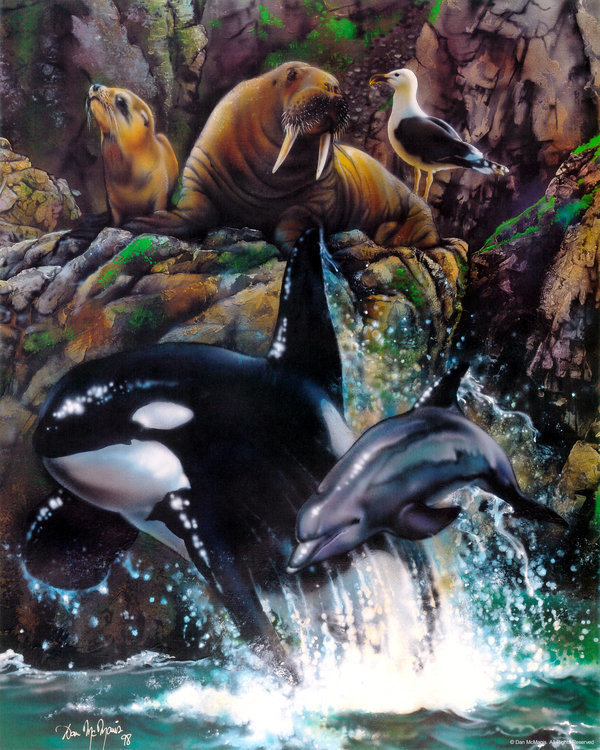 Marine life by Dan McManis