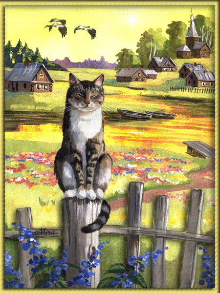 Cat animation by Mira