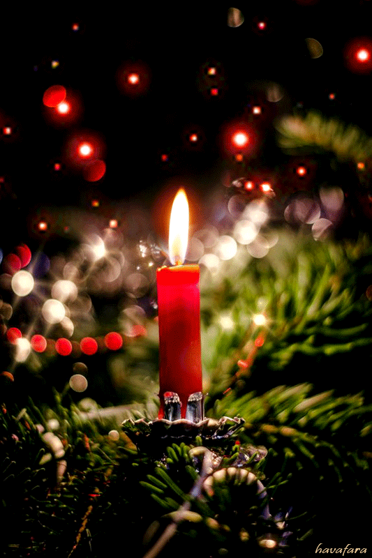 Christmas candle by Havafara