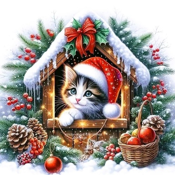 De belles images pour vous