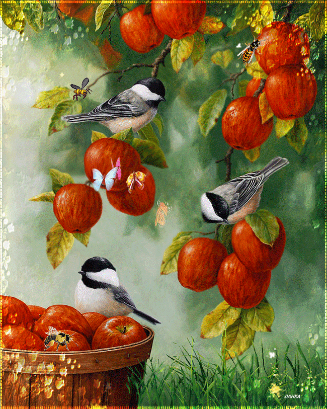 http://annacatharina.a.n.pic.centerblog.net/29962350.gif