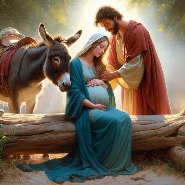 De belles images pour vous