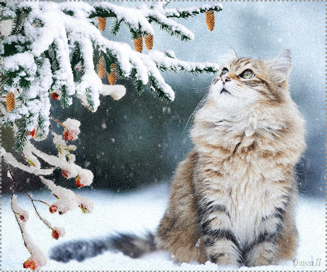 It's cold outside by Miss Olga