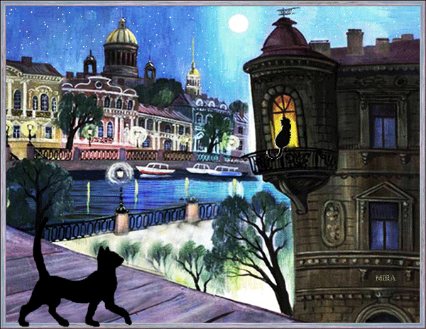 chat noir nouvelle animation