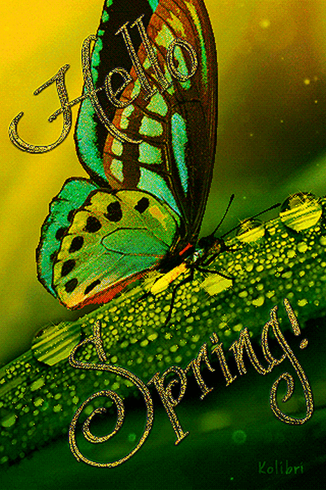 Hello spring by KOLIBRI