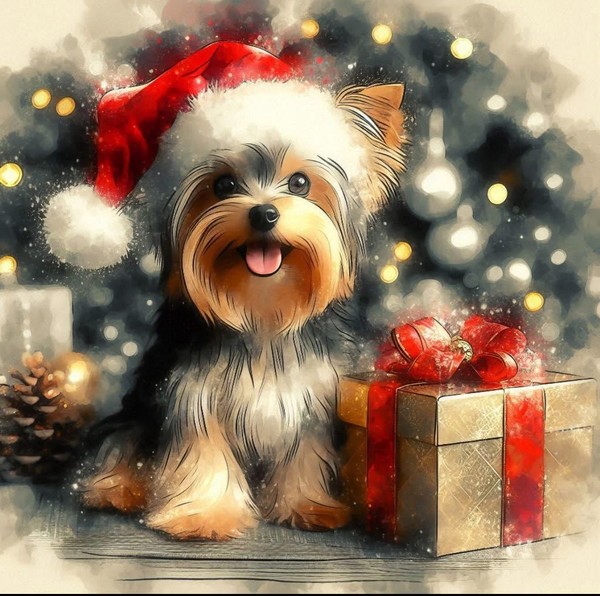 De belles images pour vous