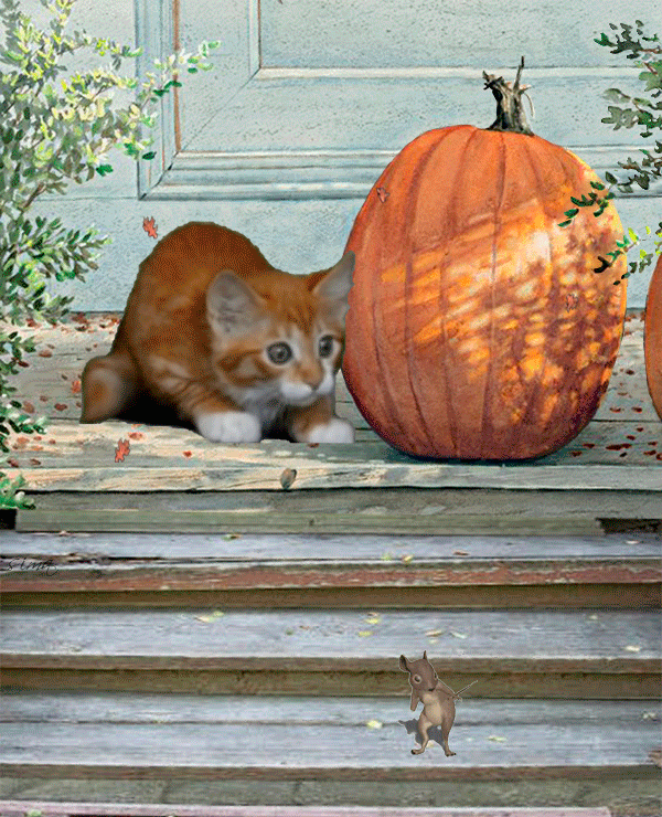 http://annacatharina.a.n.pic.centerblog.net/9a67c5c3.gif