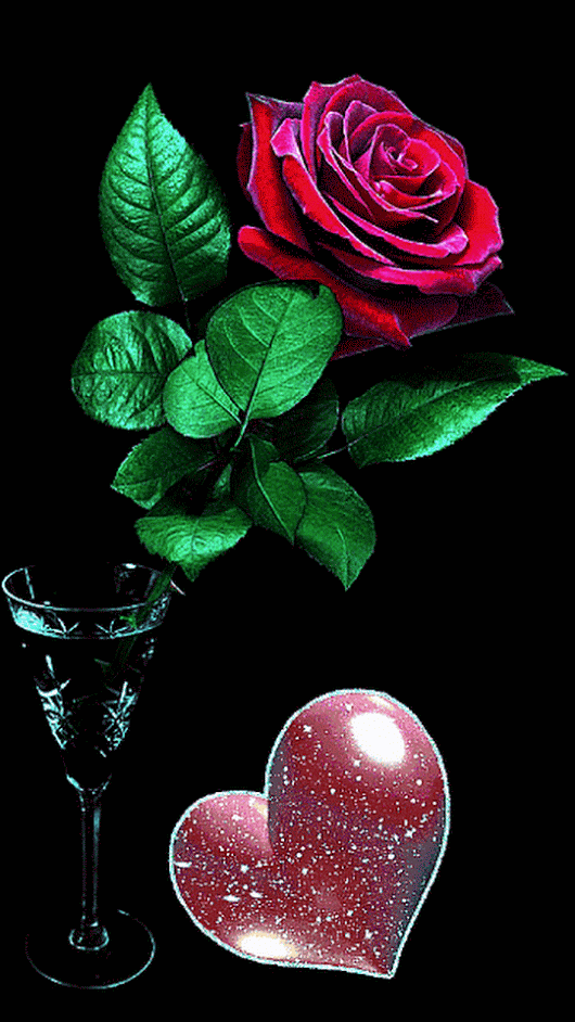 LOVE AND RED ROSE
