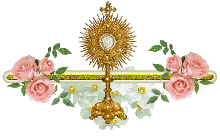 barracatolicactv_18a