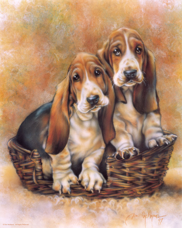 Basset hounds by Dan McManis