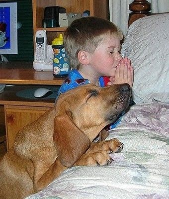 Entre o cão e Deus ... 