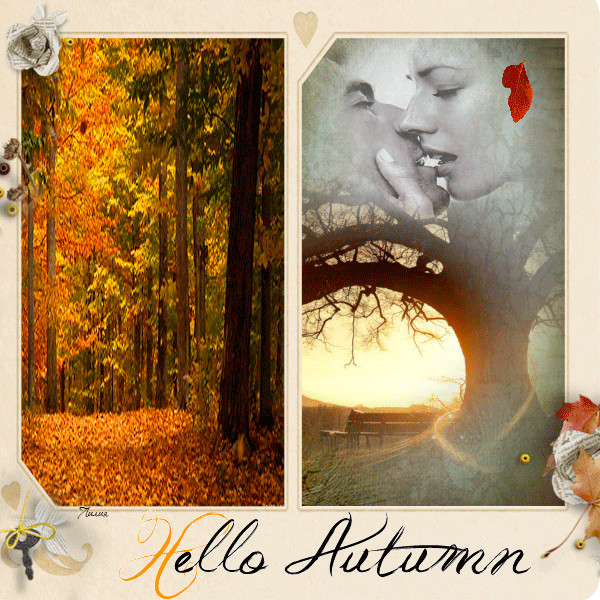 Hello autumn (Image trouve sur le net)