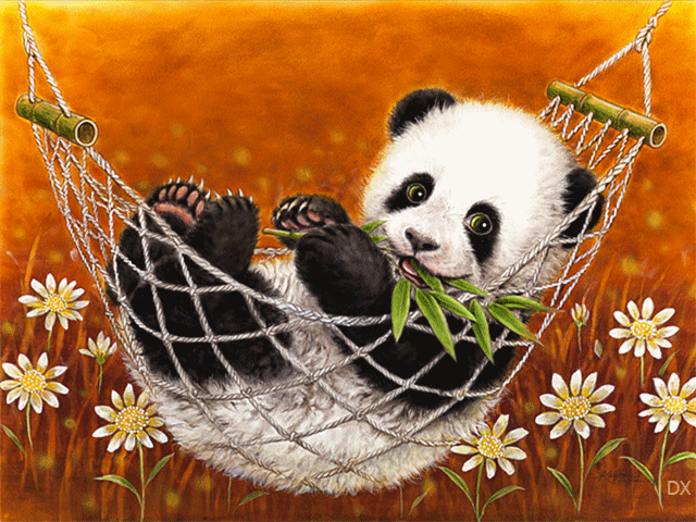 Panda by DX