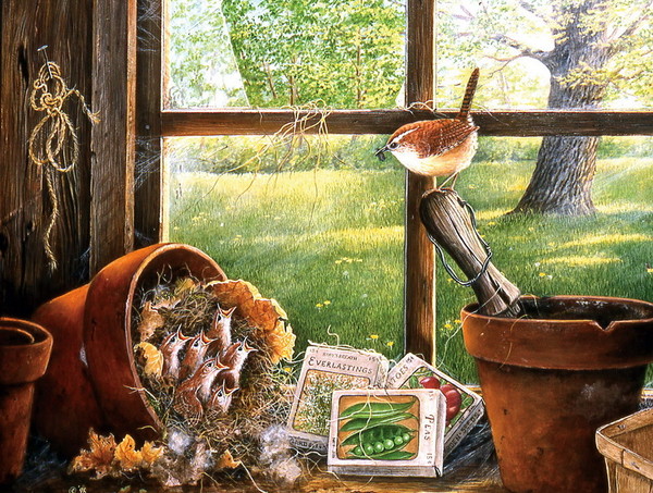 Carol Decker. Garden shed seedlings