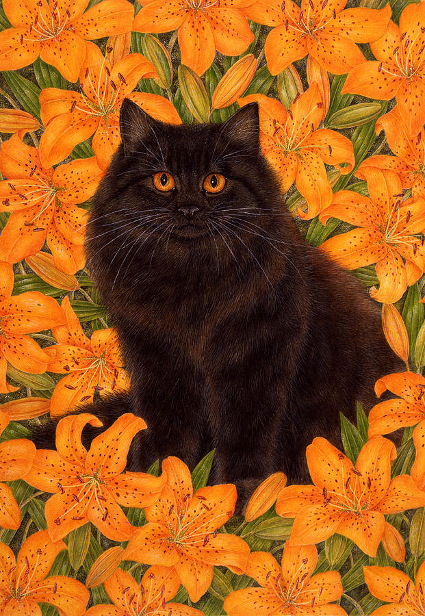pumpkin cat anne mortimer pumpkin cat anne mortimer