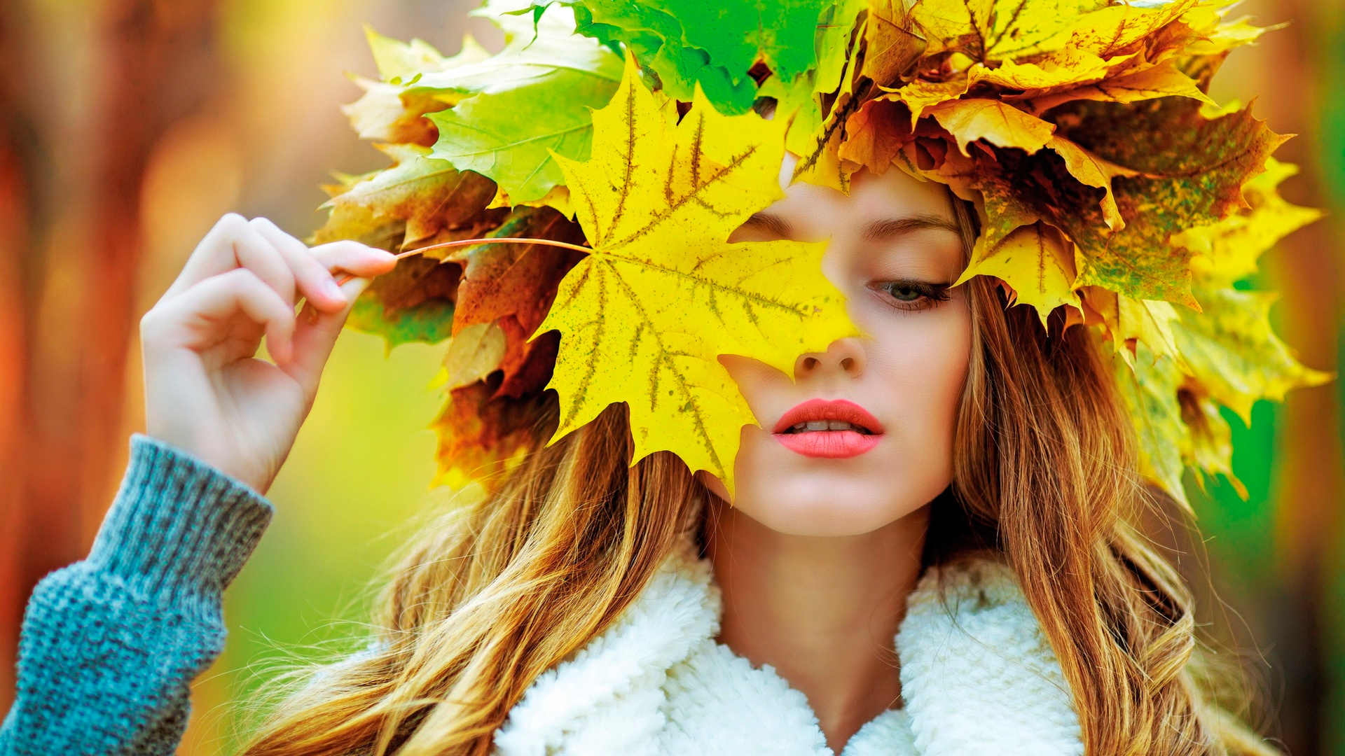 Belles Photos D'automne