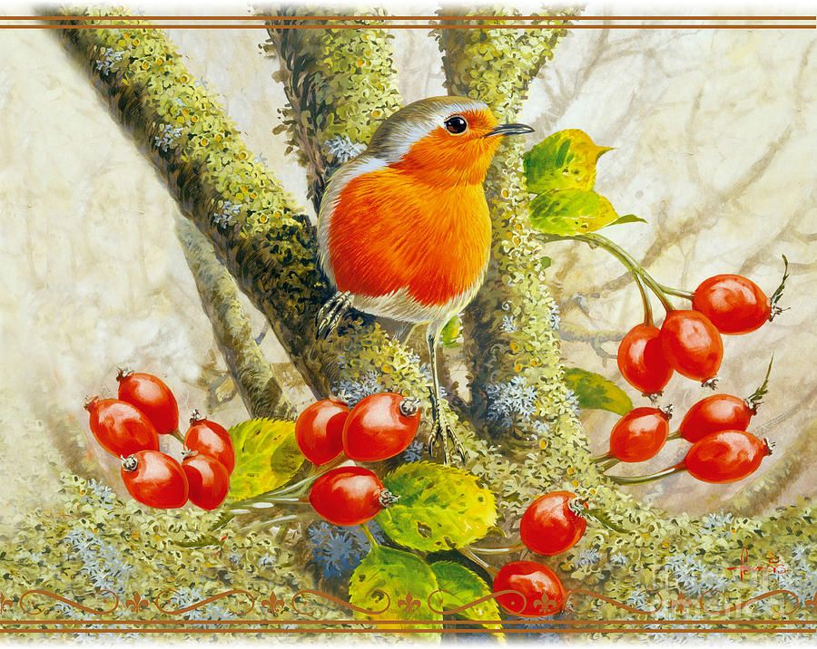 JOHN FRANCISUnited kingdom