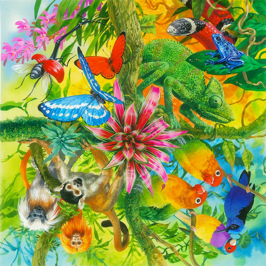 JOHN FRANCISUnited kingdom